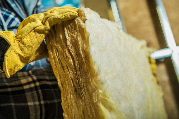 Best Insulation Maintenance and Repair in Brambleton, VA