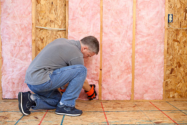 Best Fiberglass Insulation in Brambleton, VA
