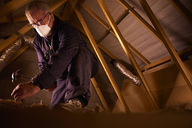 Best Eco-Friendly Insulation in Brambleton, VA